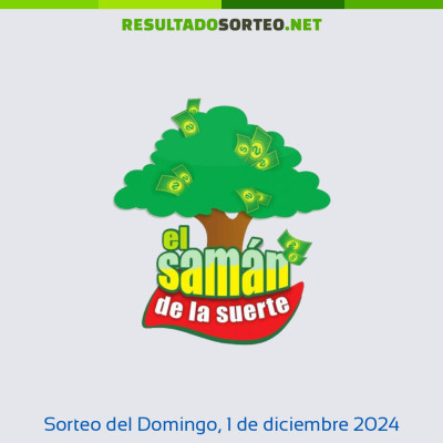 Saman de la Suerte del 1 de diciembre de 2024