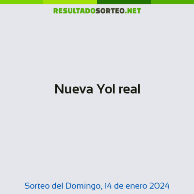 Nueva Yol real del 14 de enero de 2024