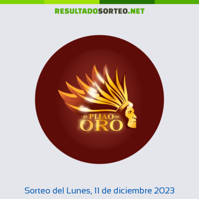 Pijao de Oro del 11 de diciembre de 2023